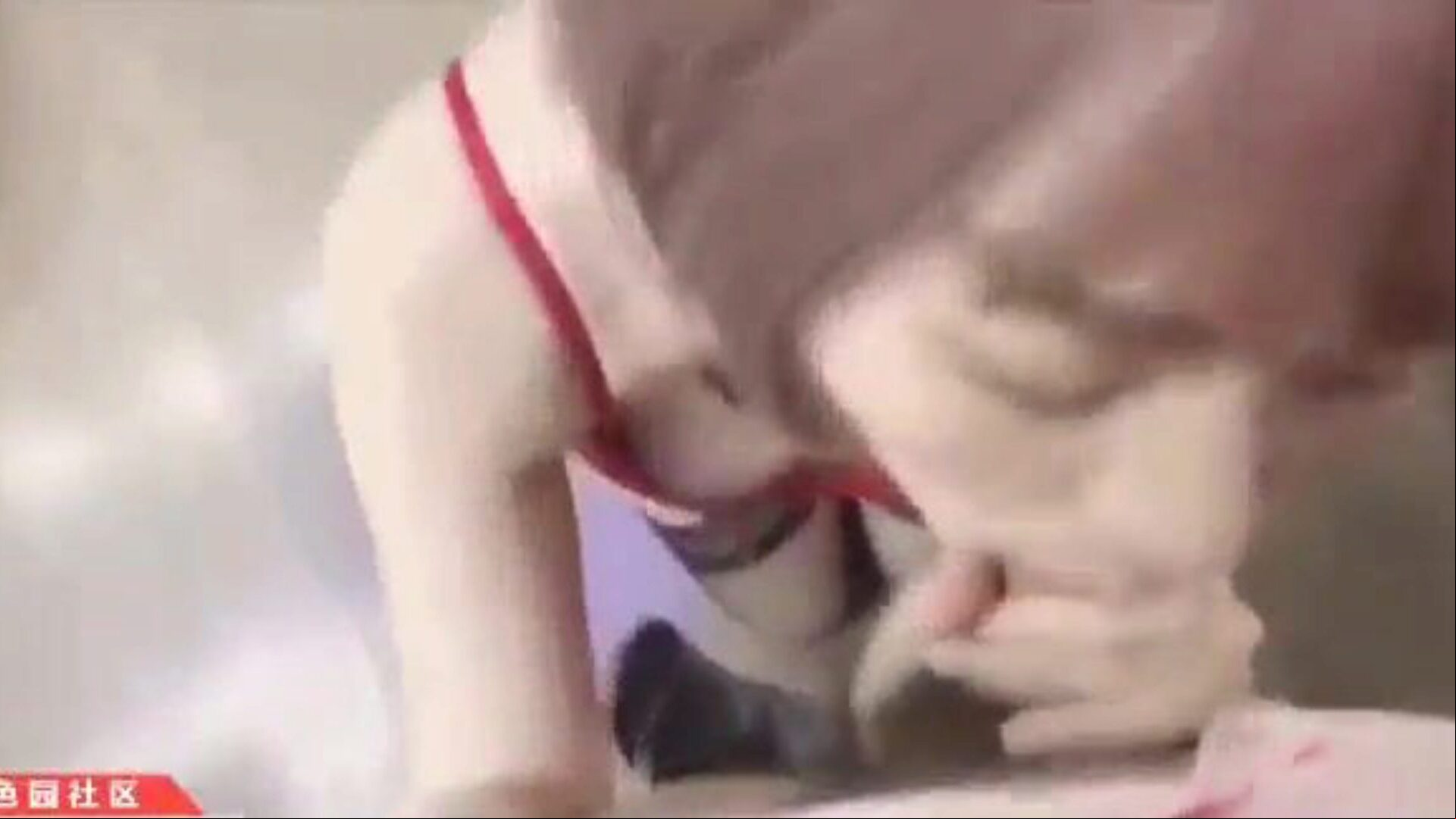 asian bunny beauty costume play fellates and bonks in motel